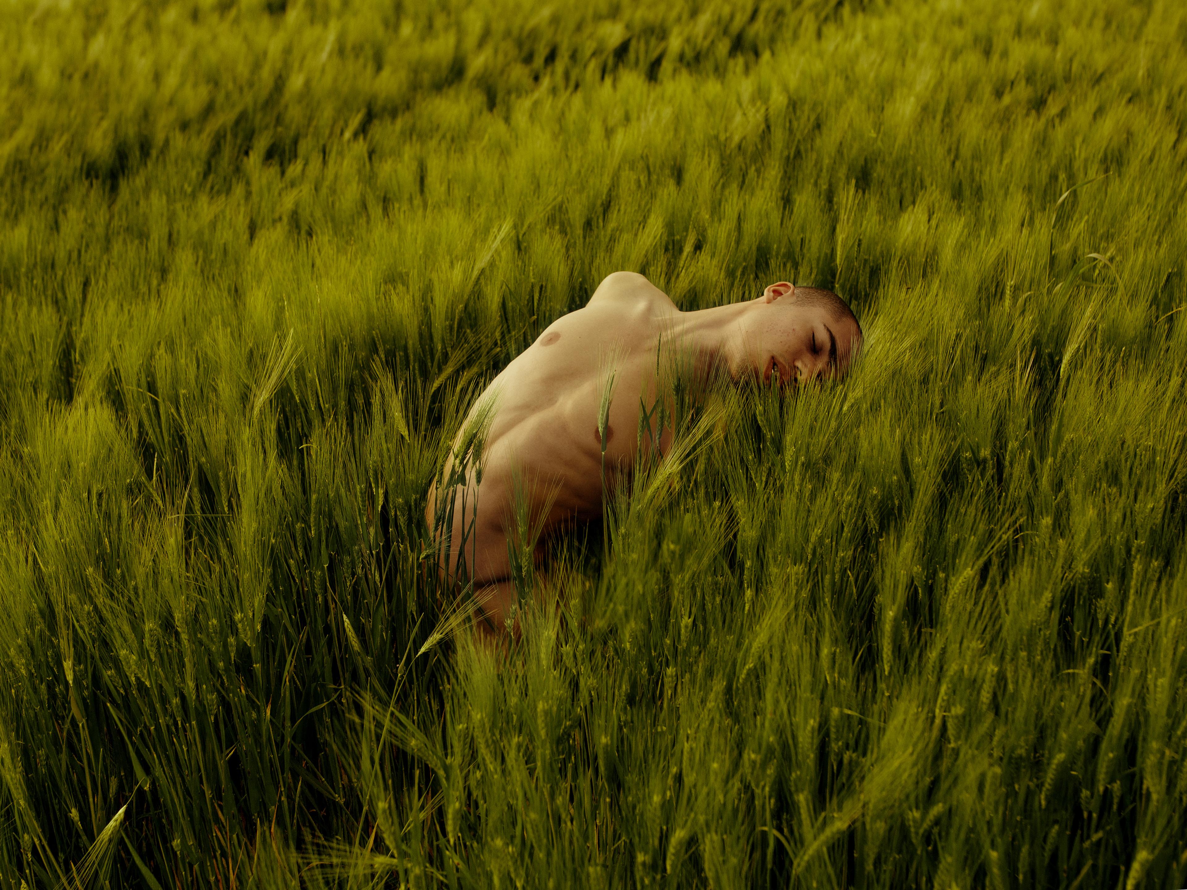 A photograph of an unclothed man posing outside in a field, tastefully covered by the surrounding tall grass