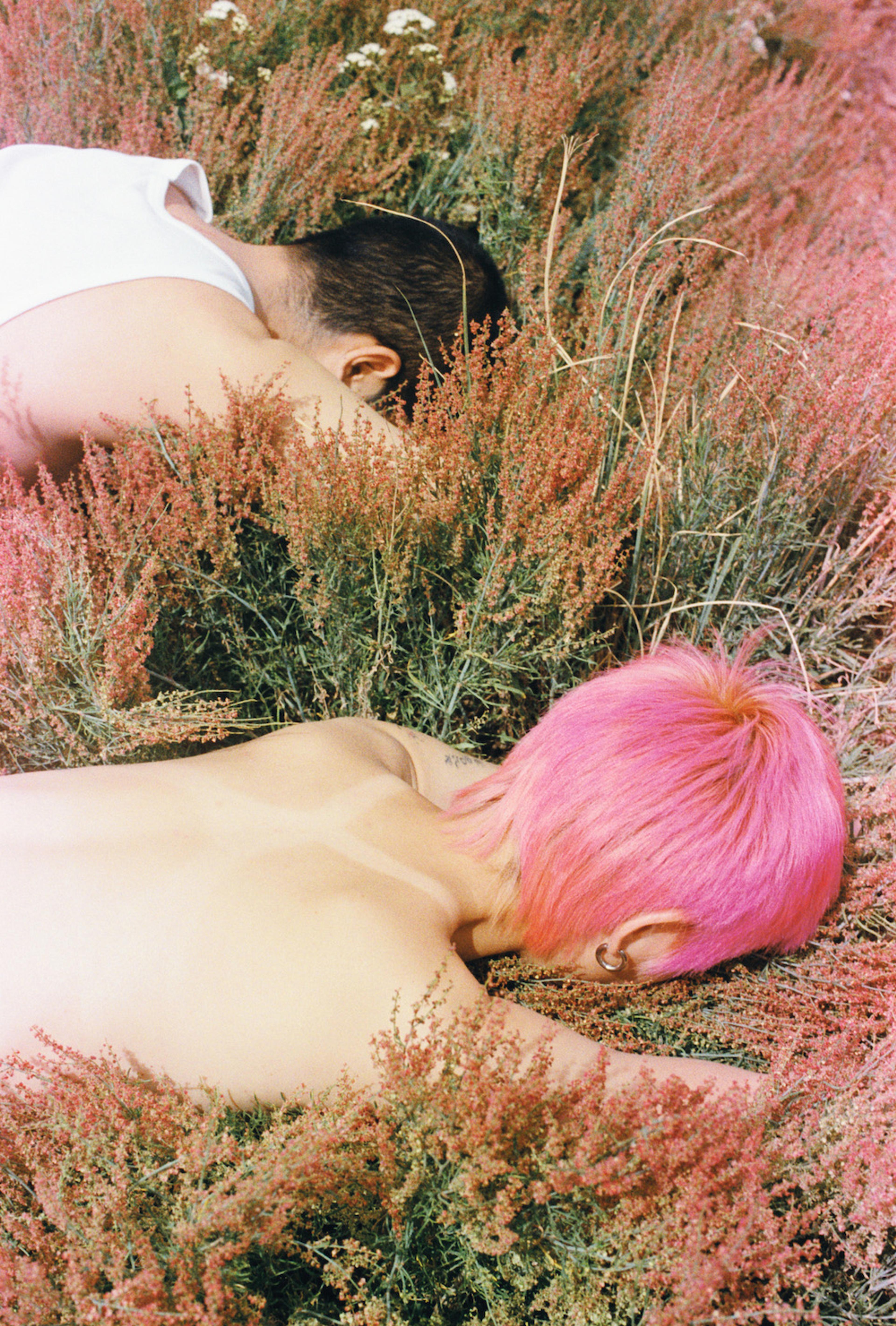 Blossom Mode, 2023 © No. 223