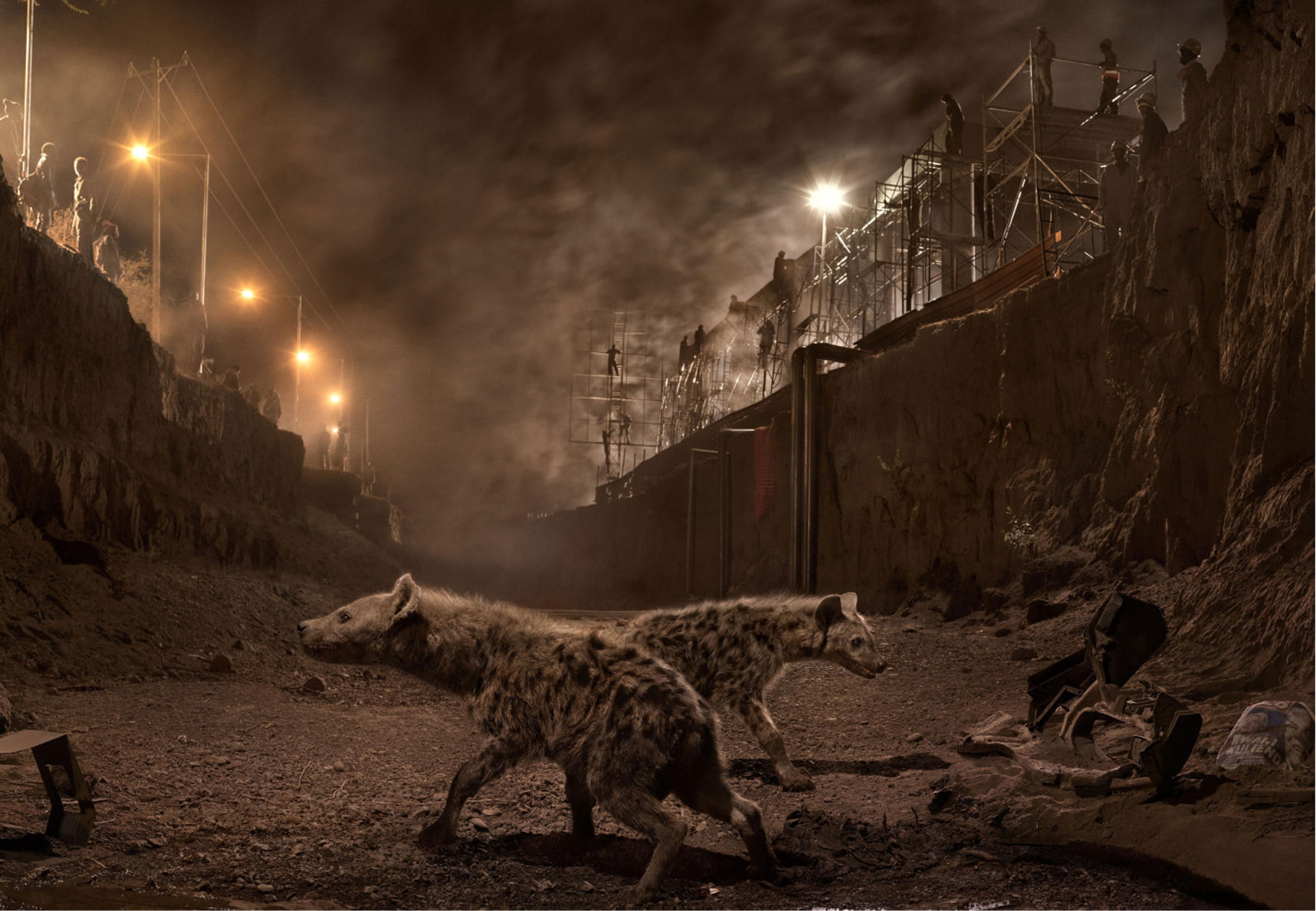 © Nick Brandt, River Bed with Hyenas