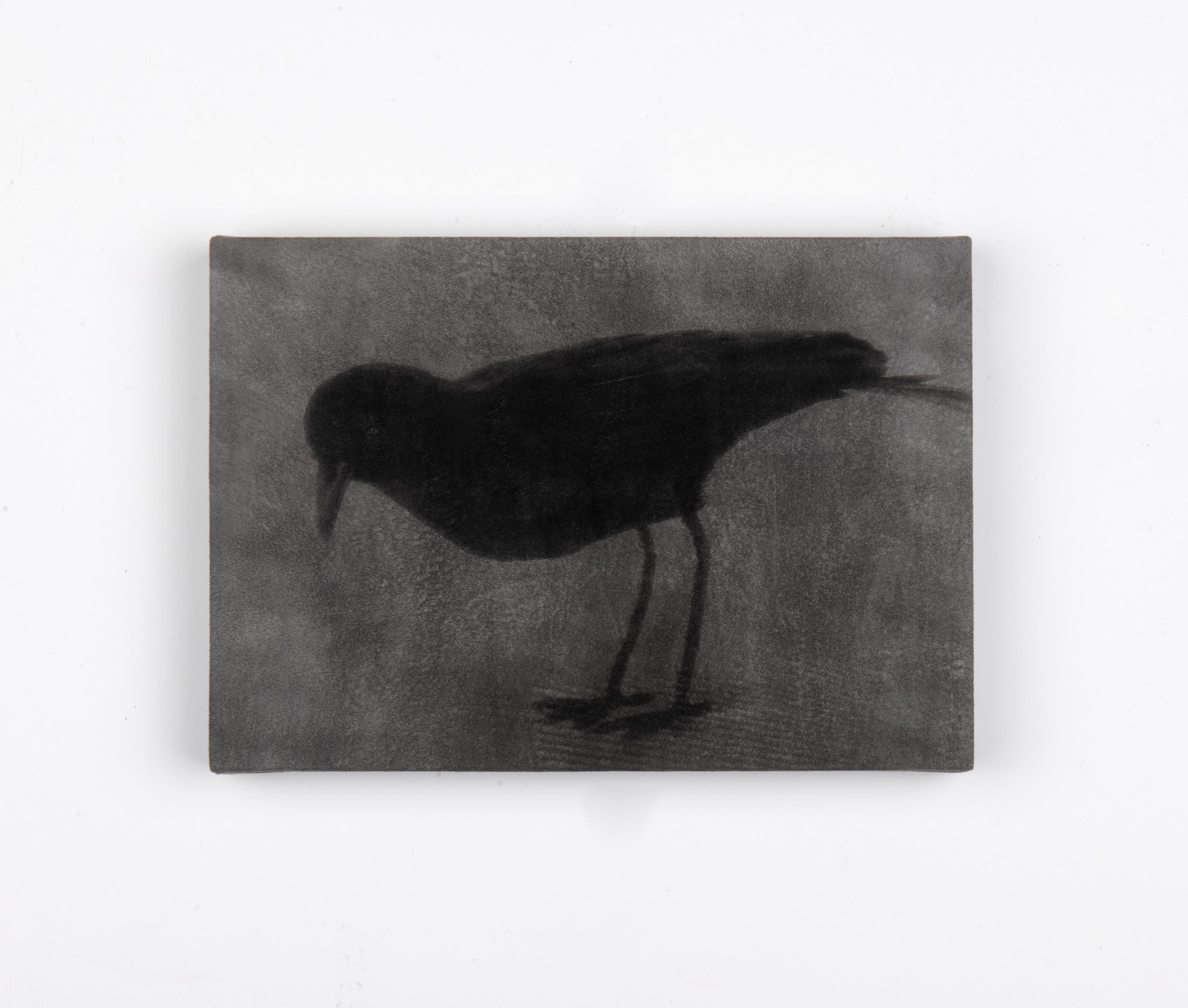 Untitled (Silly bird), 2026 © Li Chenchi