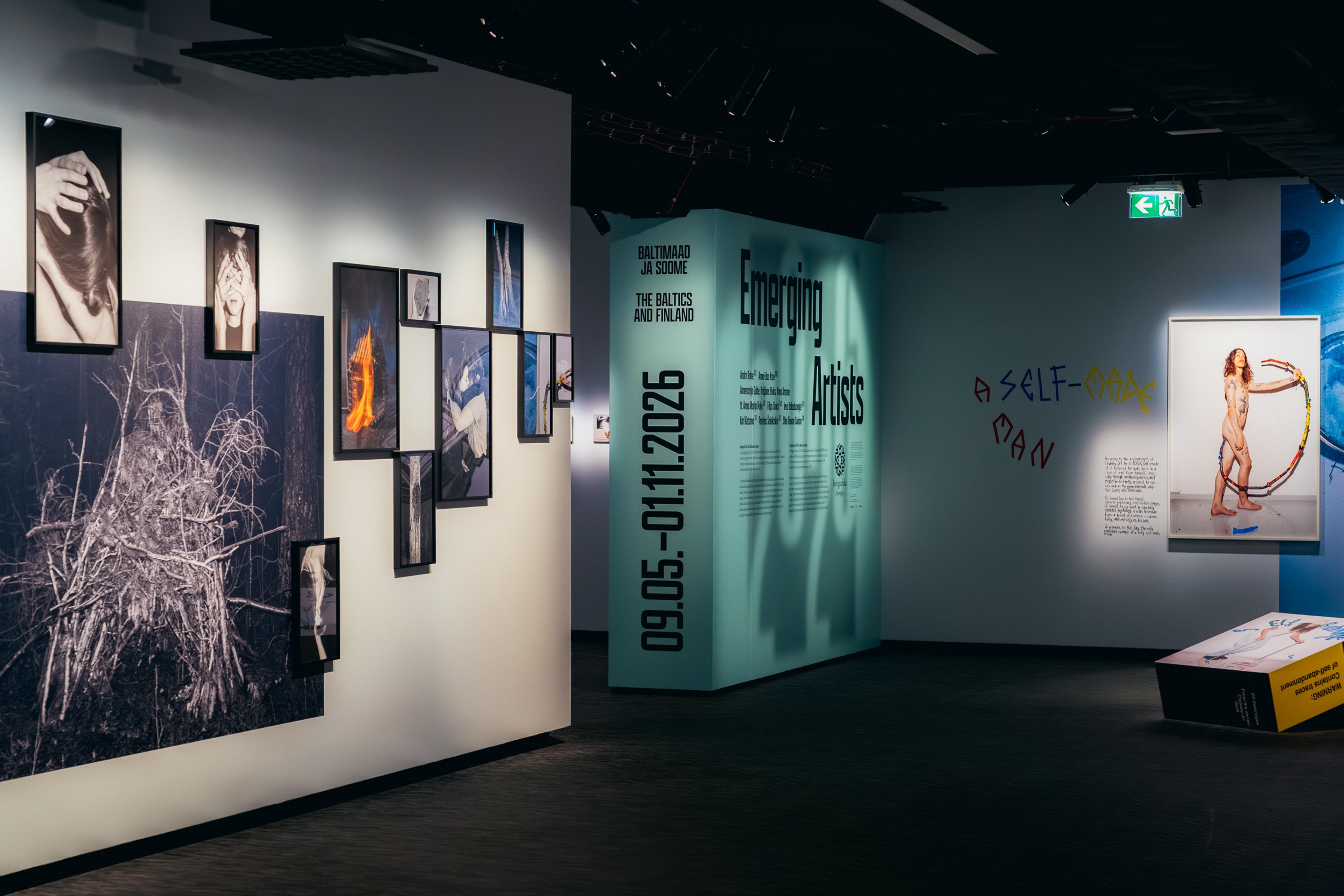 Emerging Artists