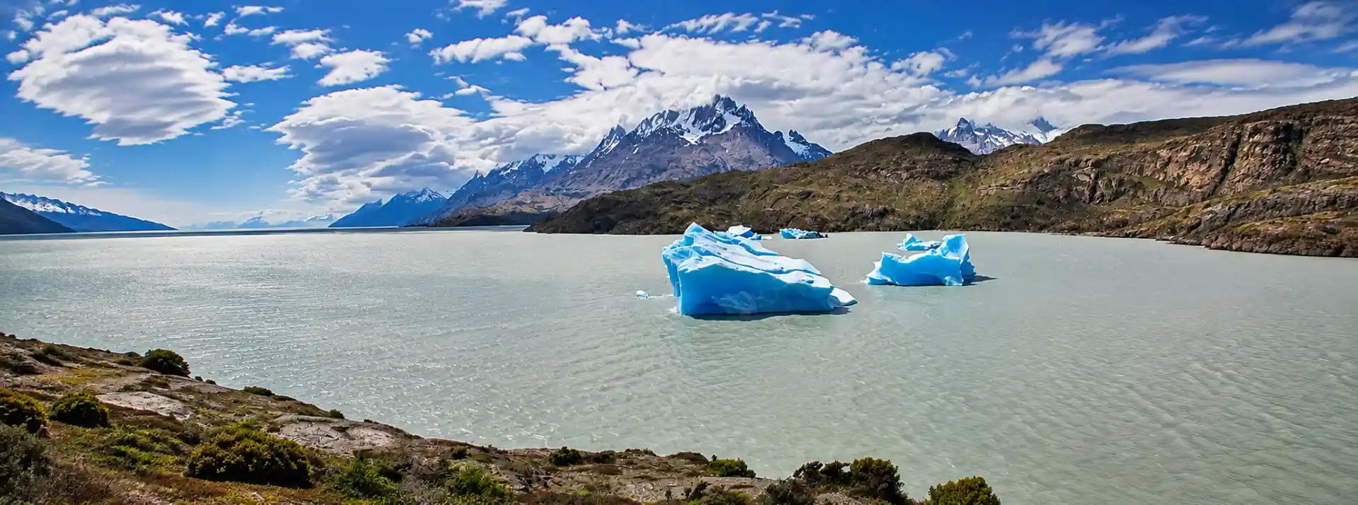 Full Day Torres del Paine + Navegación al Glaciar Grey desde Punta Arenas
