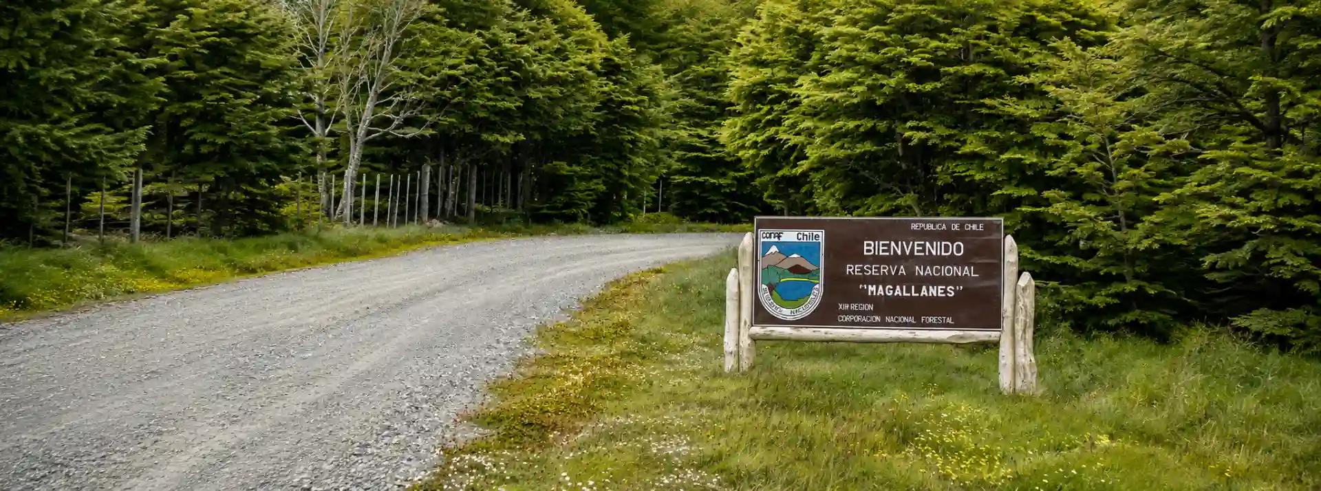 Reserva Nacional Magallanes – Bosques y Miradores de Punta Arenas