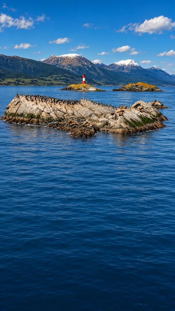 Navegación Canal Beagle – Faro Les Éclaireurs y Lobos Marinos desde Ushuaia