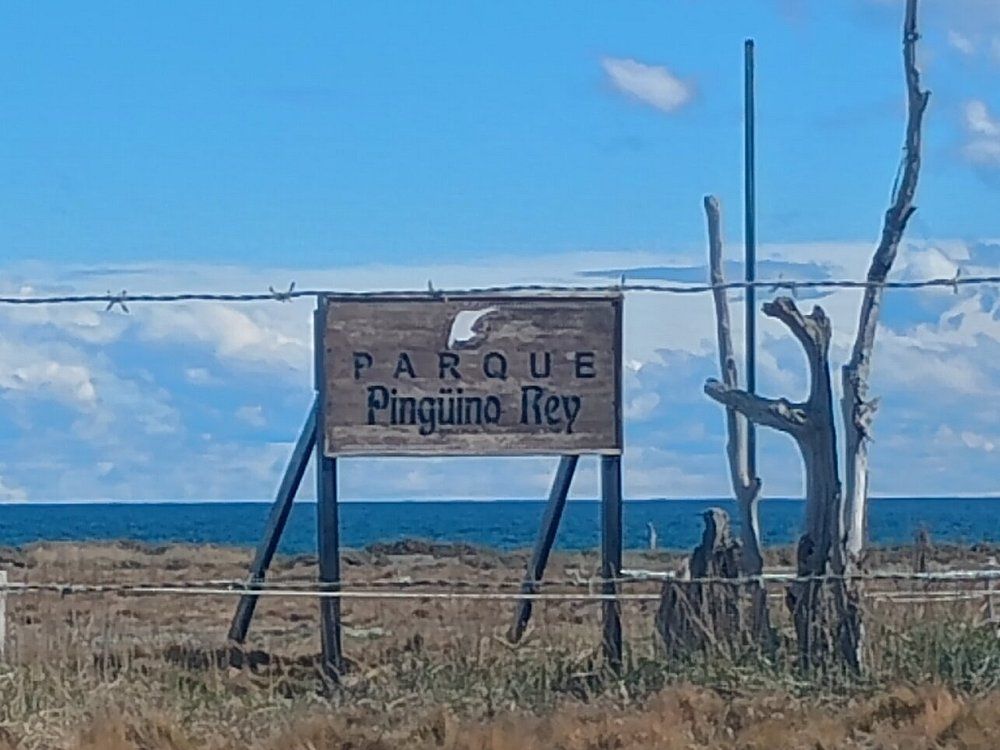 Grupo