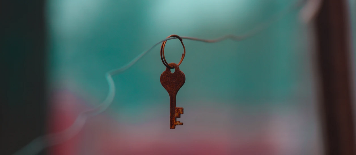 Cover Image for Forgetting of Passwords
