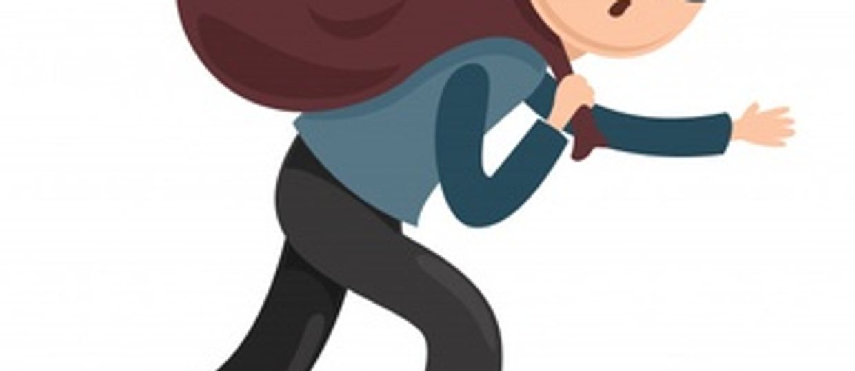 Cover Image for Identities Thieves