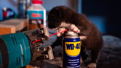 Air & Plumbing Today San Antonio: 24/7 Emergency Plumbing