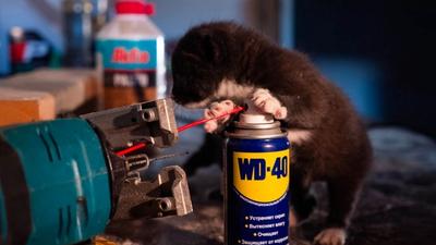 Emergency Plumbing in Dallas: Moss Heating & Cooling's Same-Day Service for Burst Pipes and Leaks