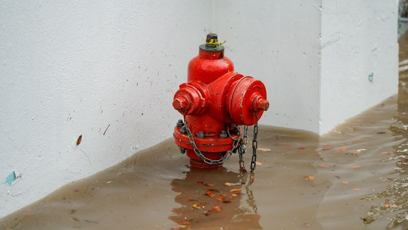 Sewage Backup Emergency: Safety Steps & When to Call