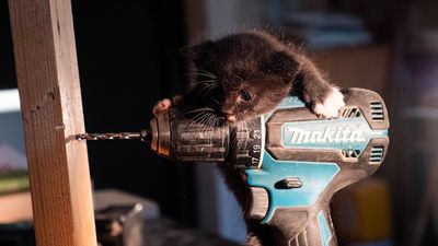 Emergency Plumber Jacksonville: 24/7 Burst Pipes & Water Damage