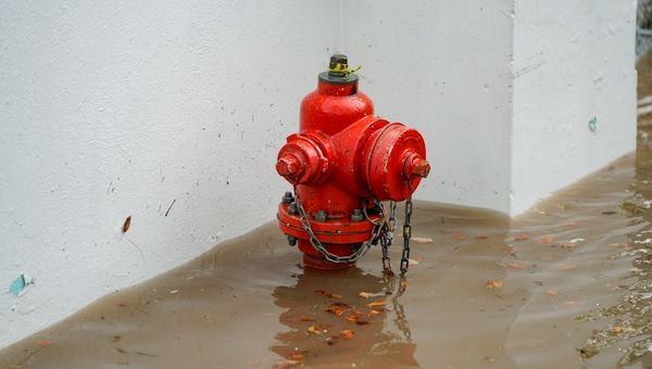 Burst Pipe in Plano? Immediate Action Steps & When to Call