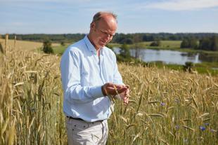 Stefan HiPP steht auf einem Feld und hat das Getreide in der Hand