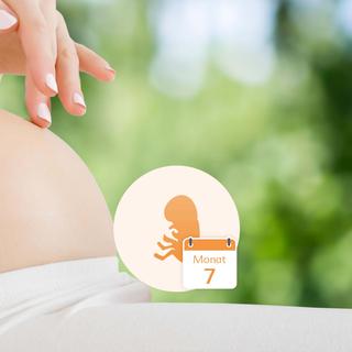 Nahaufnahme des Bauches einer schwangeren Frau mit einer Hand, die ihn sanft berührt, und einer Grafik eines Fötus in einem Kreis, neben dem das Datum "Monat 7" (7. Monat) steht.