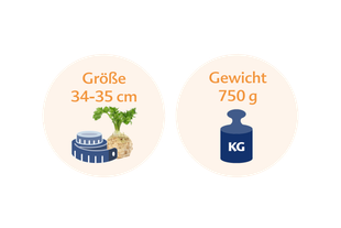 Eine Selleriewurzel mit einem Maßband daneben und einer blauen Gewichtsanzeige mit der Aufschrift "KG".