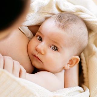 Ein zärtlicher Moment zwischen einer Mutter und ihrem Baby, wobei das Baby direkt in die Kamera schaut und die Hand der Mutter das Baby sanft wiegt.