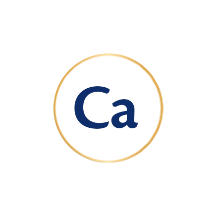 Kreis mit dem Text 'Ca' in der Mitte