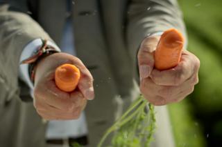 Stefan Hipp breaks carrot with his hands