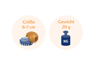 Eine Kiwifrucht neben einem Maßband und einer Gewichtsanzeige, wobei die Kiwi 6-7 cm groß ist und 20 Gramm wiegt.