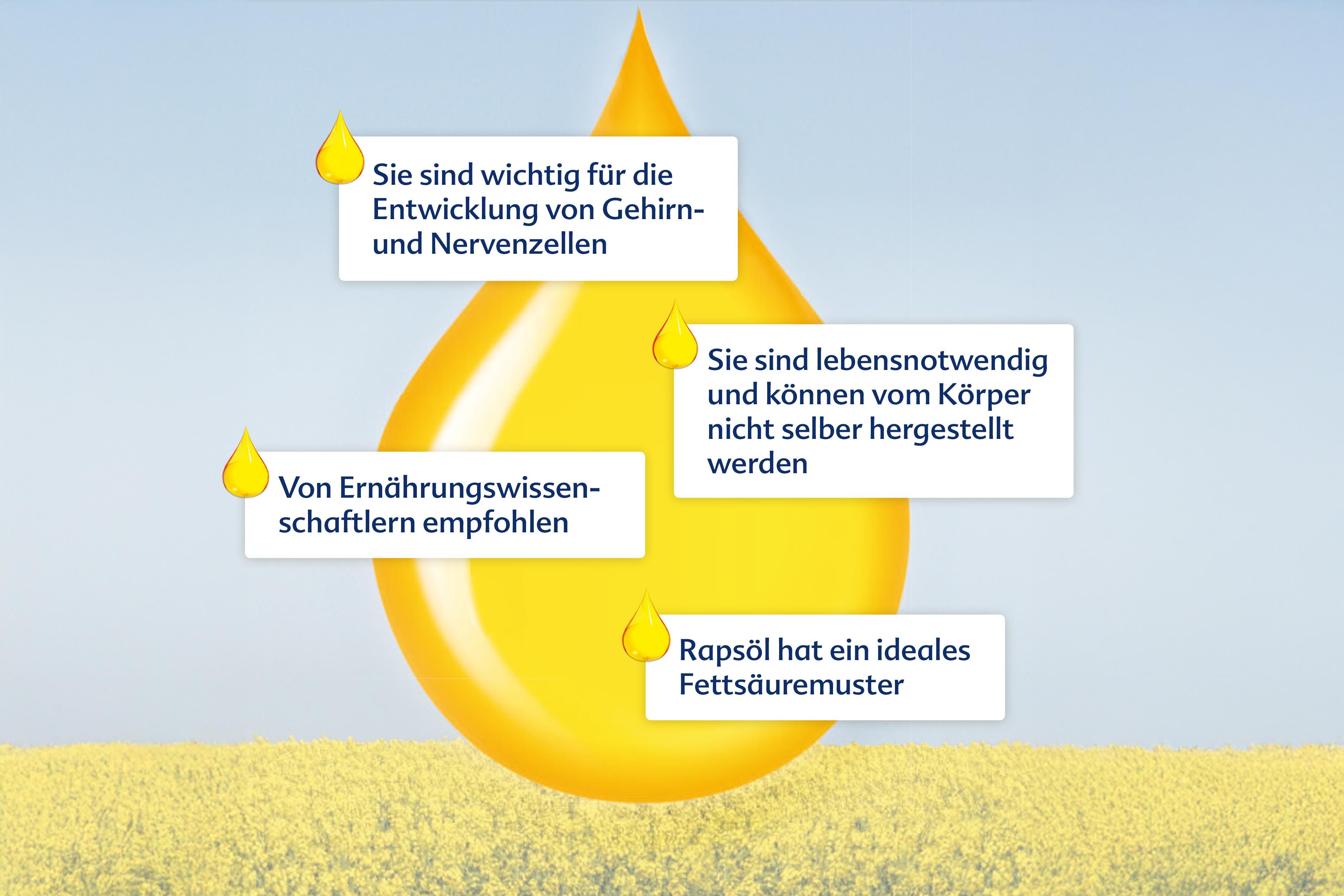 Die Vorteile von Warum, einem Produkt, das Omega-3-Fettsäuren (ALA) enthält, wobei seine Rolle bei der Förderung der Entwicklung und Gesundheit von Kindern hervorgehoben wird.
