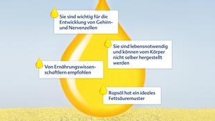 Die Vorteile von Warum, einem Produkt, das Omega-3-Fettsäuren (ALA) enthält, wobei seine Rolle bei der Förderung der Entwicklung und Gesundheit von Kindern hervorgehoben wird.