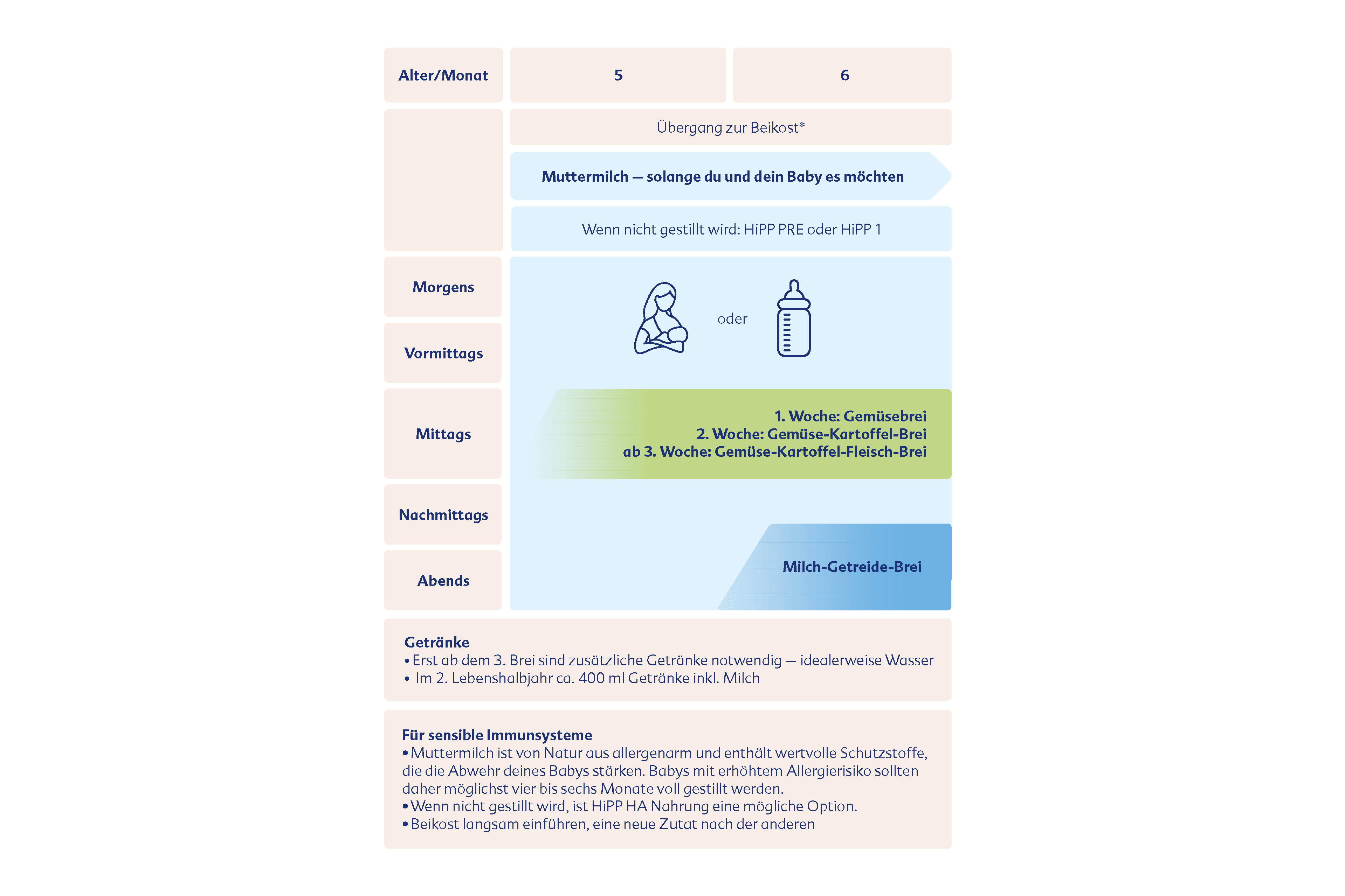 HiPP Ernährungsplan: Ab dem 5. bis 6. Monat
