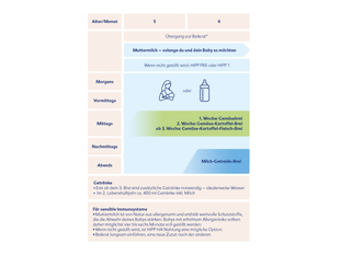 HiPP Ernährungsplan: Ab dem 5. bis 6. Monat