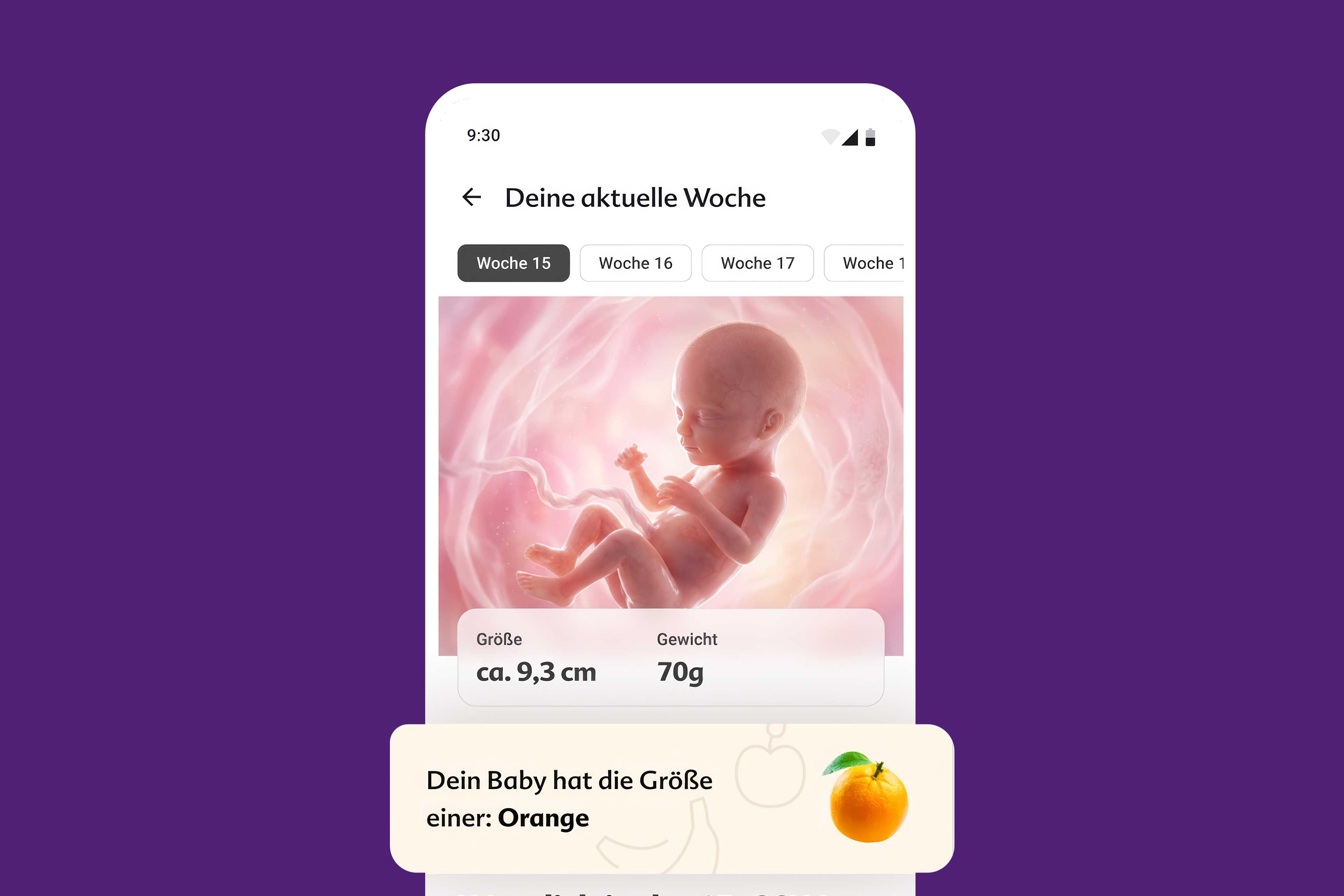 Screenshot HiPP App - Deine aktuelle Woche