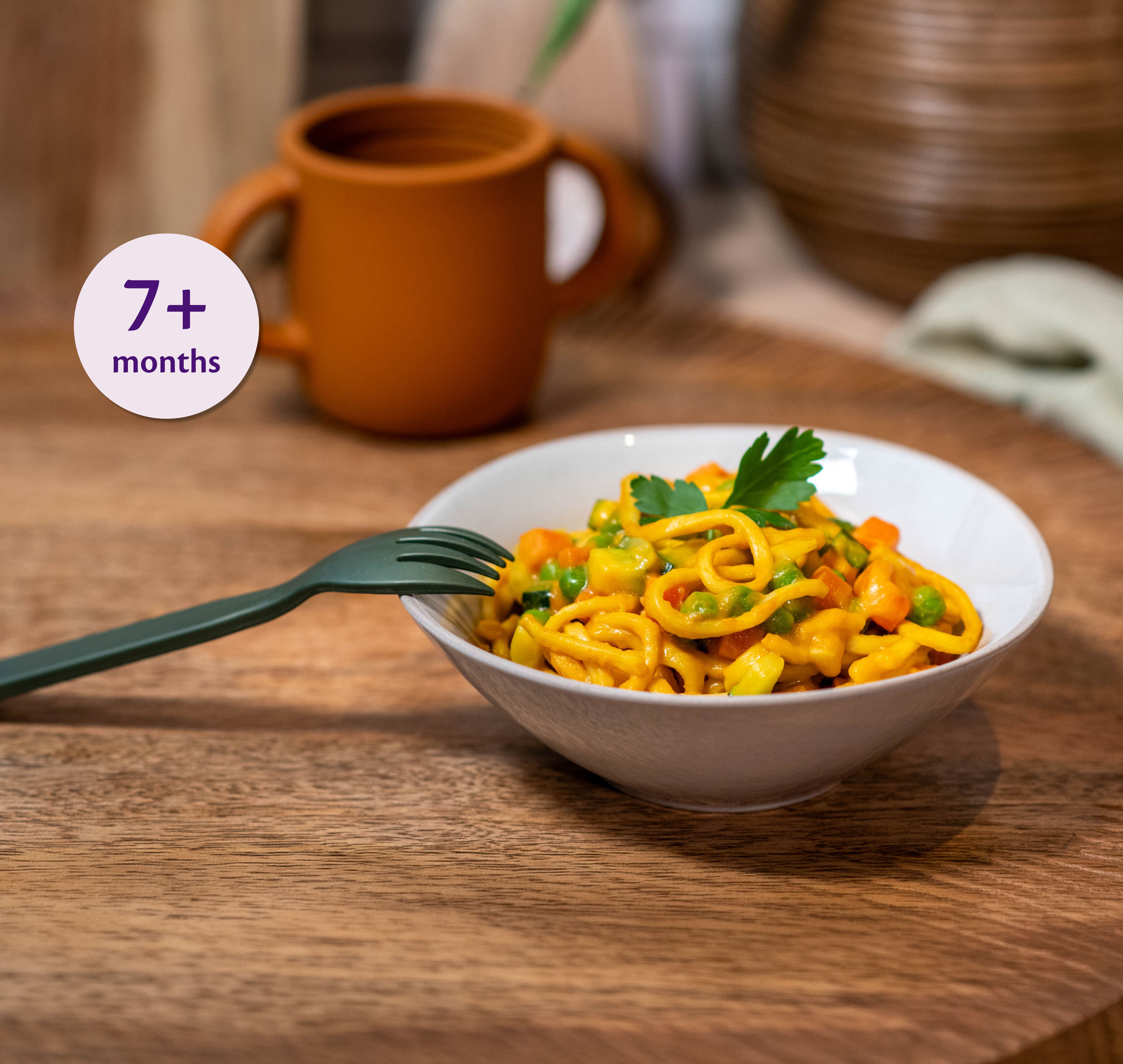 Vegetable & Chicken Noodles