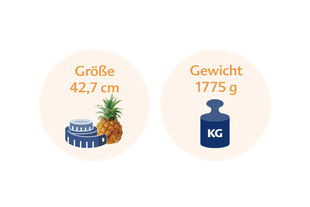 Eine Ananas neben einer blauen Waage mit den Maßen 42,7 cm bzw. 1775 g.