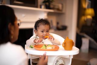 A baby sits in a high chair, holding and chewing on a slice of orange vegetable—possibly sweet potato or carrot—while wearing a printed bib. A parent is nearby as the baby explores a plate of food that includes broccoli and what looks like rice, alongside a small orange sippy cup