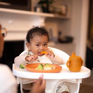 A baby sits in a high chair, holding and chewing on a slice of orange vegetable—possibly sweet potato or carrot—while wearing a printed bib. A parent is nearby as the baby explores a plate of food that includes broccoli and what looks like rice, alongside a small orange sippy cup.