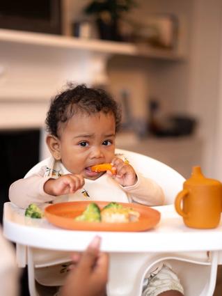 A baby sits in a high chair, holding and chewing on a slice of orange vegetable—possibly sweet potato or carrot—while wearing a printed bib. A parent is nearby as the baby explores a plate of food that includes broccoli and what looks like rice, alongside a small orange sippy cup.