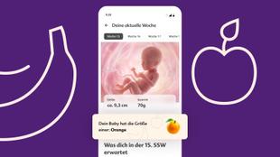 HiPP App Schwangerschafts-Tracker zeigt dein Baby in der 15. SSW mit Größe, Gewicht und Fruchtvergleich als Orange.