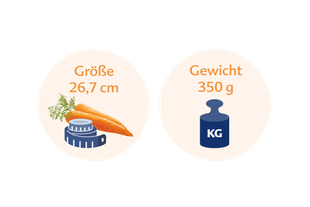 Eine Karotte neben einer blauen Waage, auf der die Länge der Karotte mit 26,7 cm und ihr Gewicht mit 350 g angegeben ist.