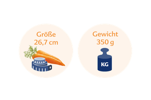Eine Karotte neben einer blauen Waage, auf der die Länge der Karotte mit 26,7 cm und ihr Gewicht mit 350 g angegeben ist.