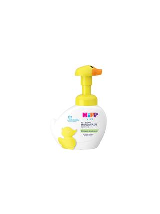 Handwash duck