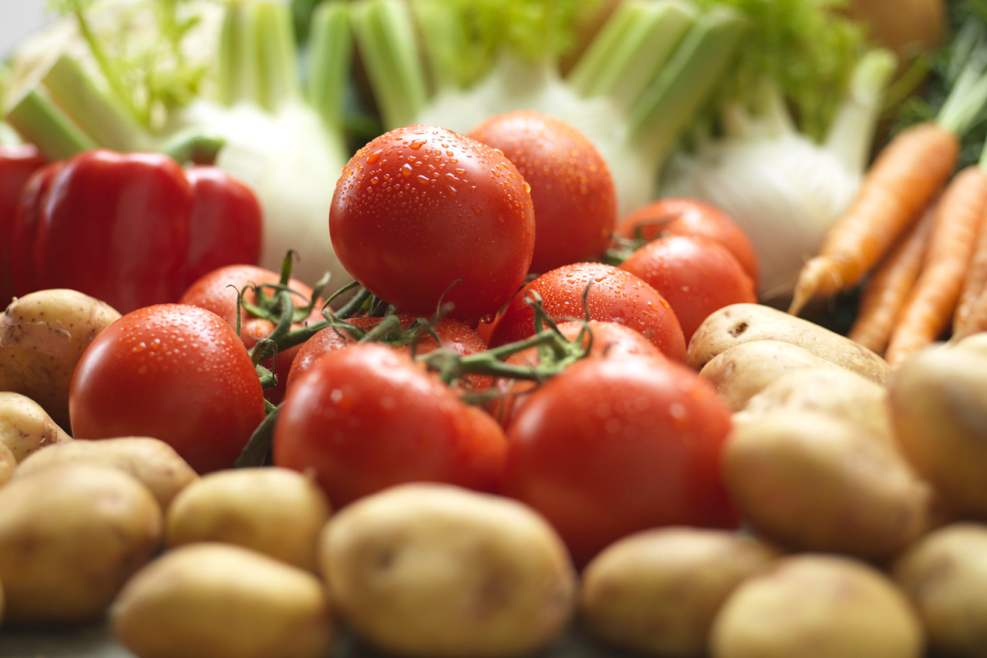 Eine Vielzahl von frischem Gemüse, darunter Tomaten, Kartoffeln, Karotten und Paprika, mit Wassertropfen darauf.