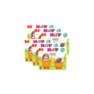 HiPP Bio Mini Desserts Bananen-Kakao, 24x100g Packung für Babys ab 7 Monaten, ohne Zuckerzusatz