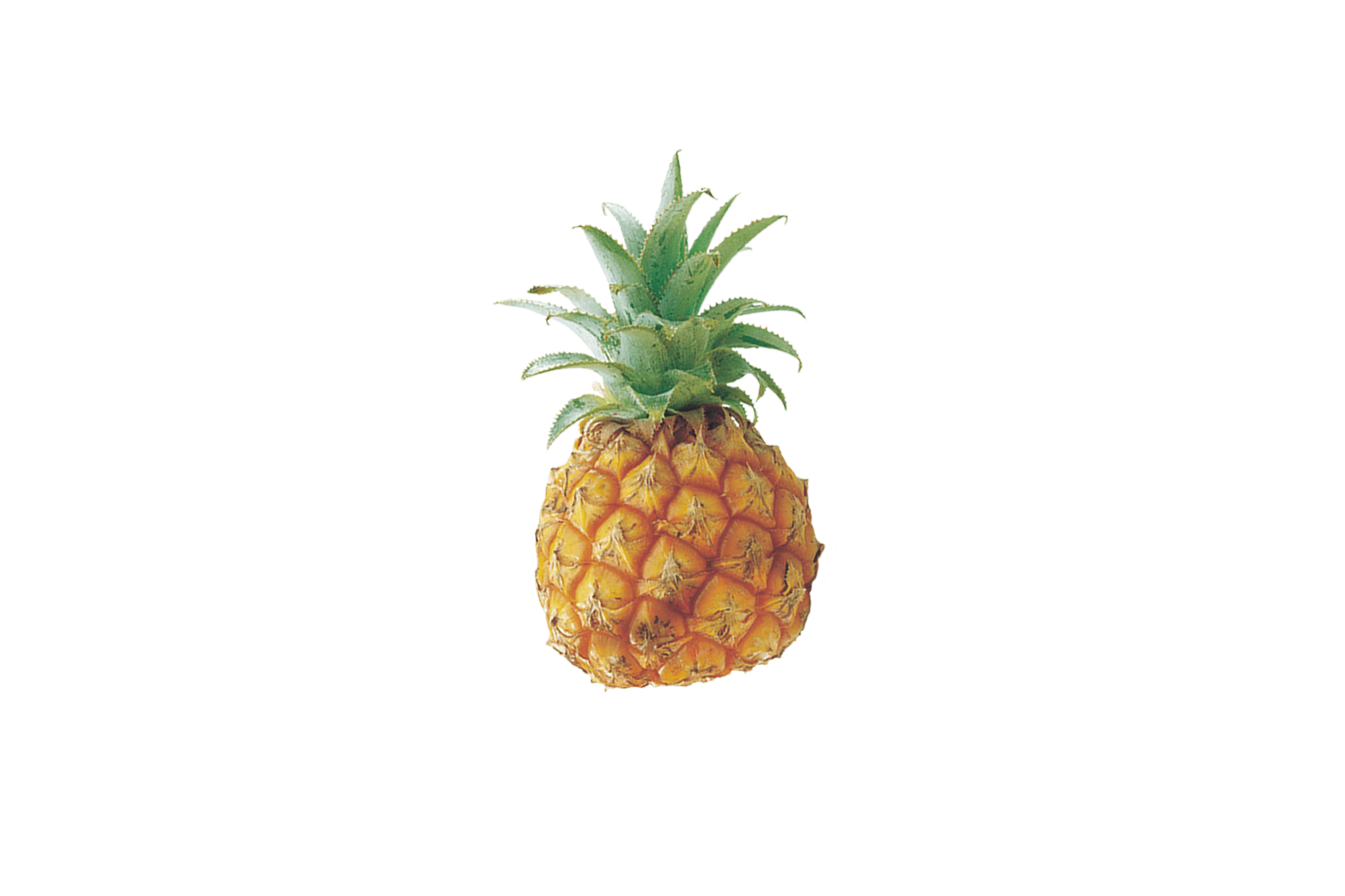 Eine Ananas mit ihrer charakteristischen goldgelben Schale und grünen Blättern.