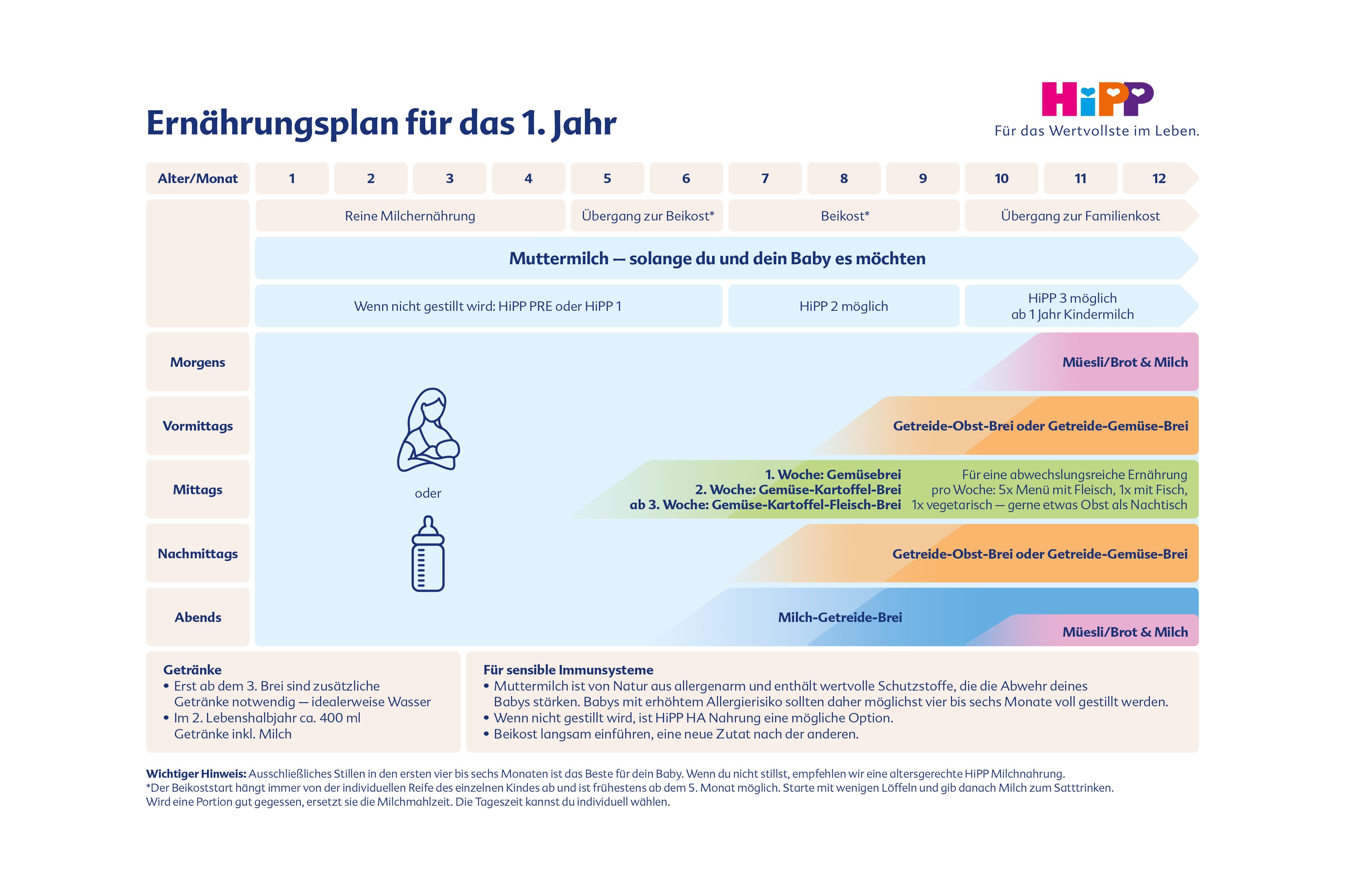 HiPP Ernährungsplan