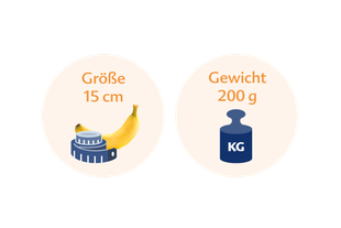 Eine Banane neben einer blauen Waage, über der die deutschen Wörter "Größe" und "Gewicht" stehen.