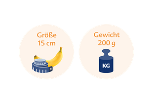 Eine Banane neben einer blauen Waage, über der die deutschen Wörter "Größe" und "Gewicht" stehen.