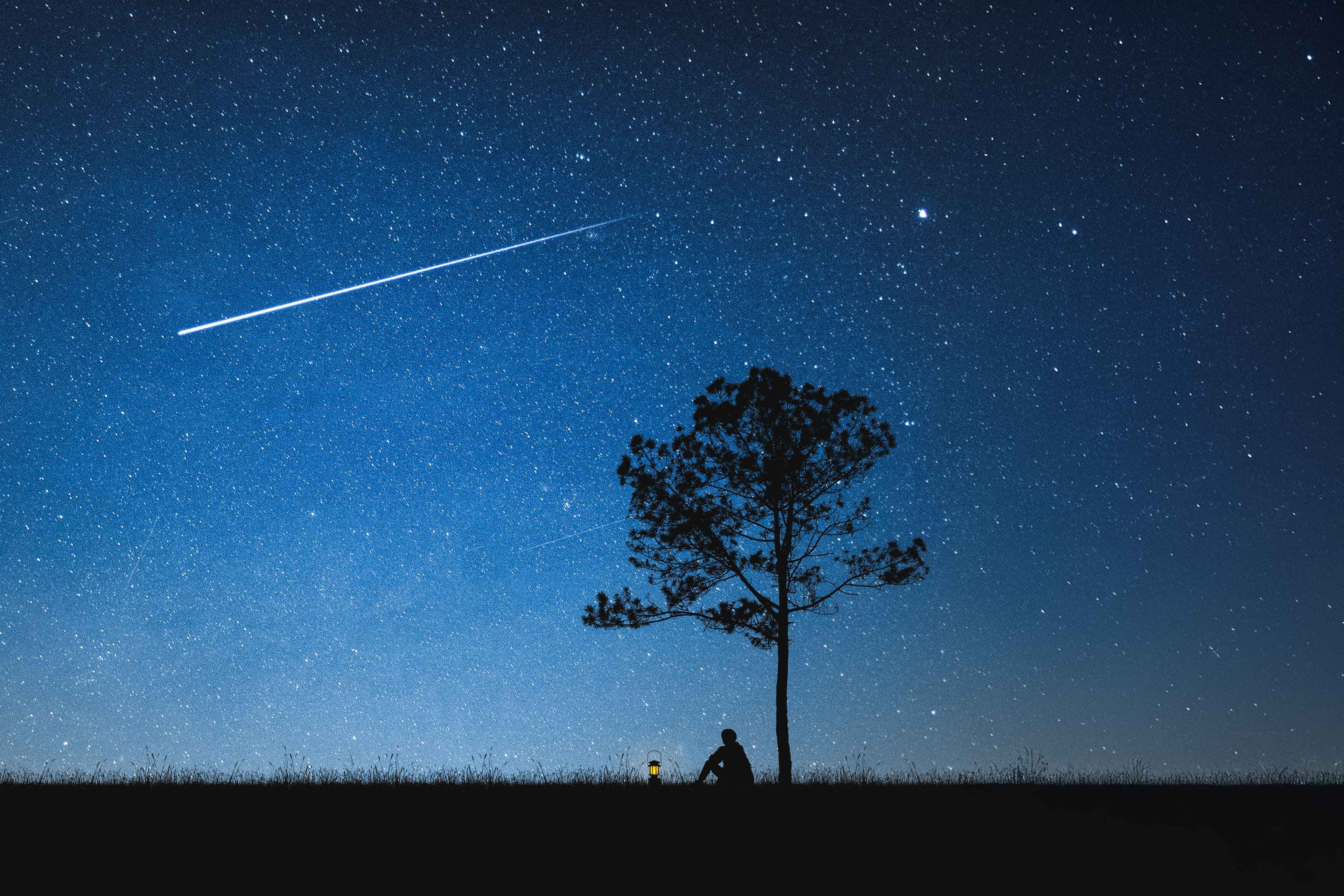 Eine ruhige nächtliche Landschaft mit einem weiten Sternenhimmel, einer Sternschnuppe, einem einsamen Baum und der Silhouette einer Person mit einer Laterne.
