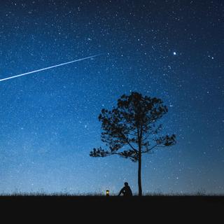 Eine ruhige nächtliche Landschaft mit einem weiten Sternenhimmel, einer Sternschnuppe, einem einsamen Baum und der Silhouette einer Person mit einer Laterne.