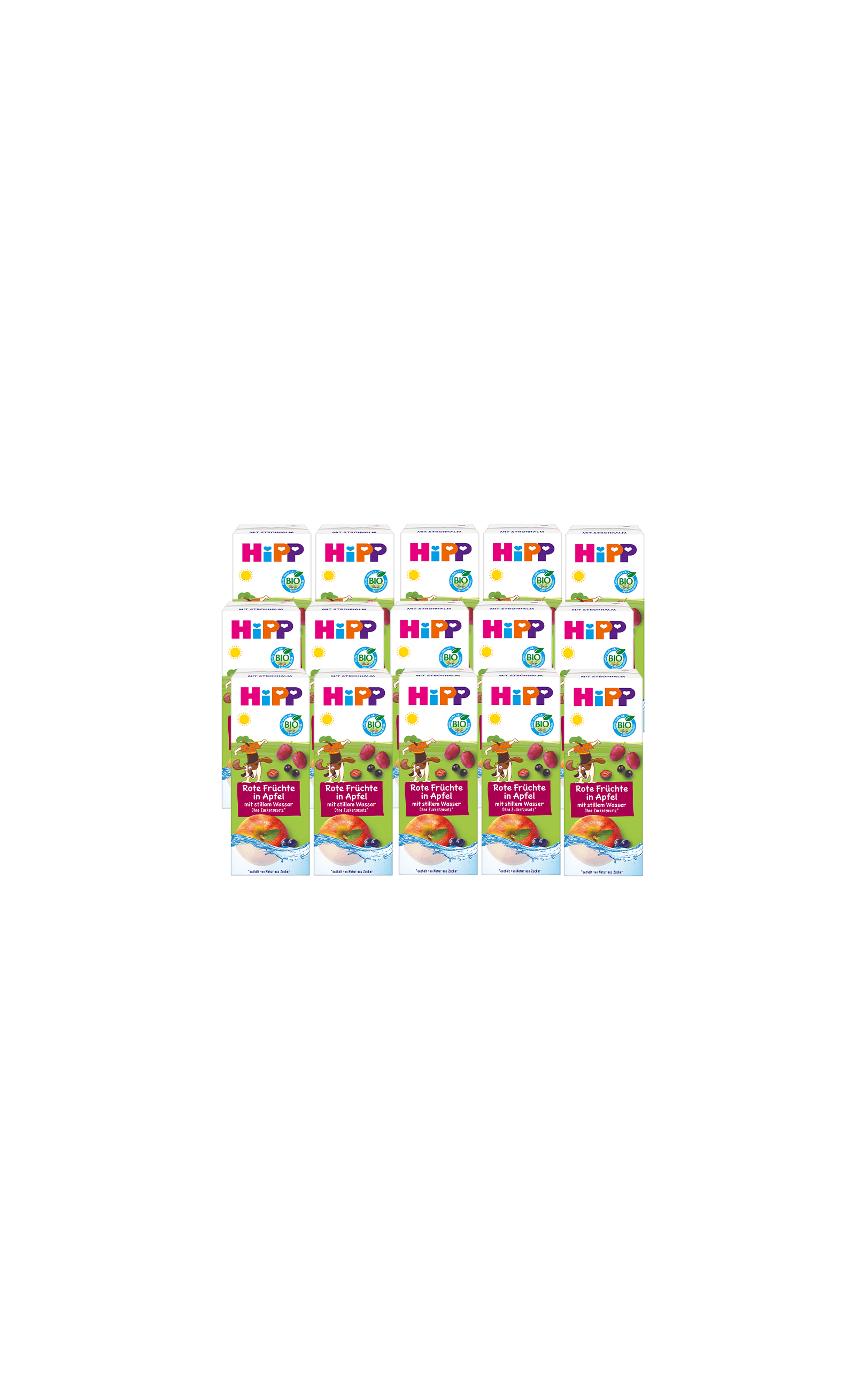 15er-Pack HiPP Bio Kindergetränk Rote Früchte in Apfel, 200ml Trinkpäckchen in zwei Reihen vor schwarzem Hintergrund