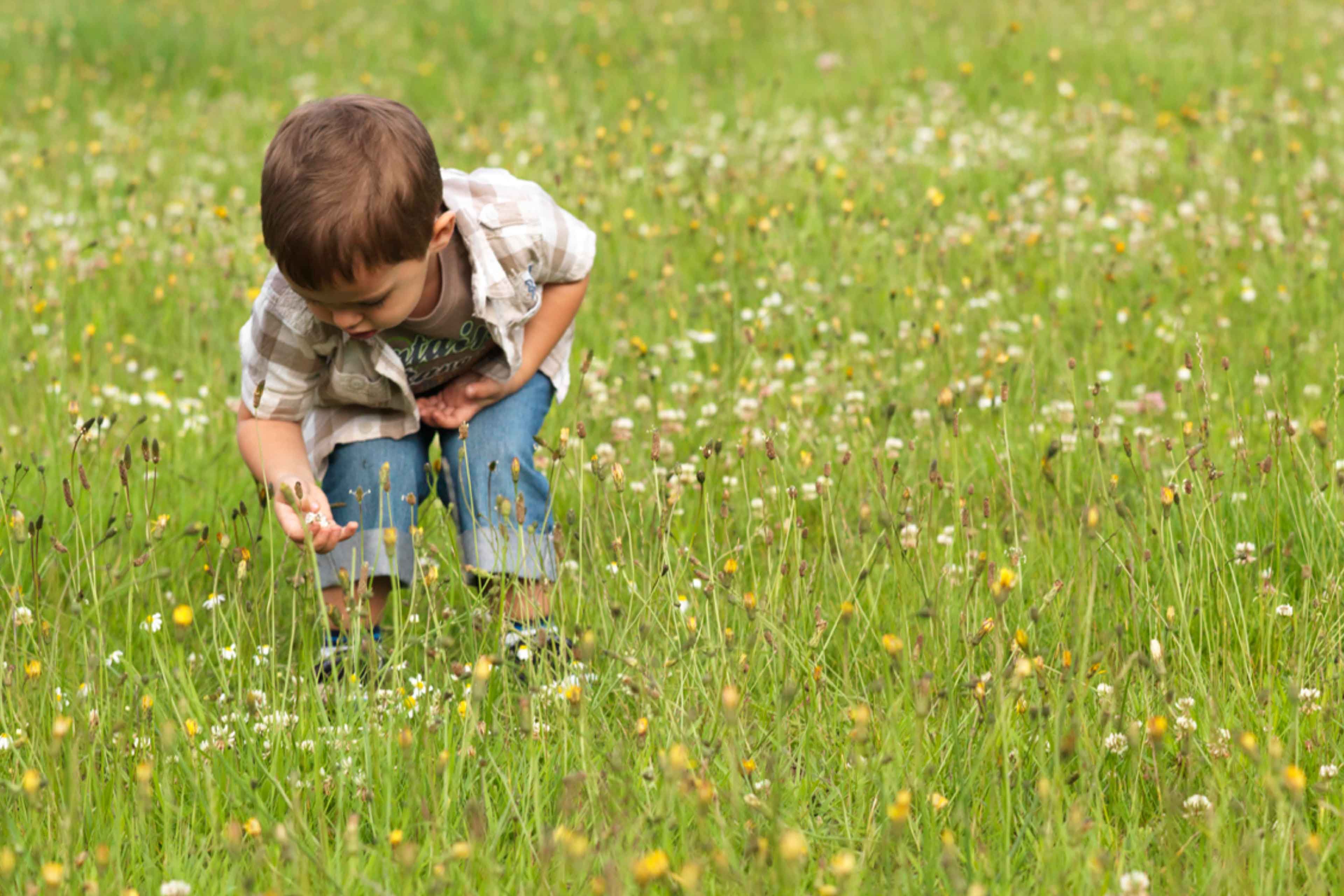 Ein leger gekleideter Junge beugt sich in einem Wildblumenfeld nach unten und scheint eine Blume genau zu untersuchen.