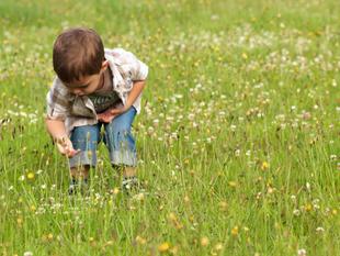 Ein leger gekleideter Junge beugt sich in einem Wildblumenfeld nach unten und scheint eine Blume genau zu untersuchen.