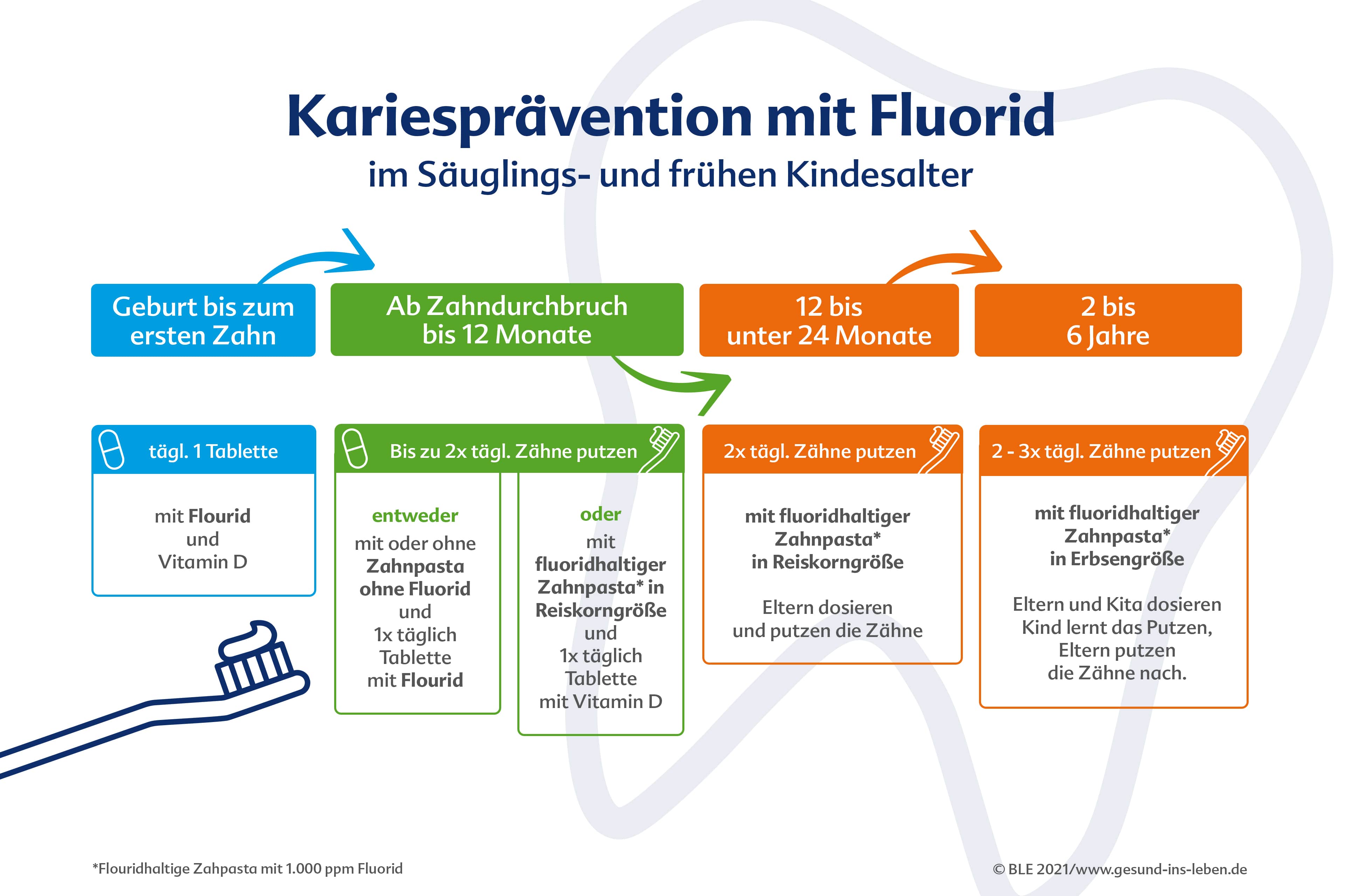 Die Schritte zur Kariesvorbeugung mit Fluorid bei Kindern, wobei die Anwendung von fluoridhaltiger Zahnpasta in verschiedenen Altersstufen und die empfohlene Dauer der Anwendung im Einzelnen aufgeführt sind.