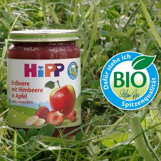 HiPP Gläschen steht im Gras, daneben Bio Siegel